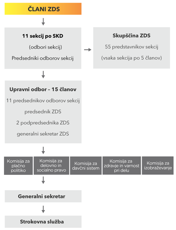 zds organigram final si destop1 600px