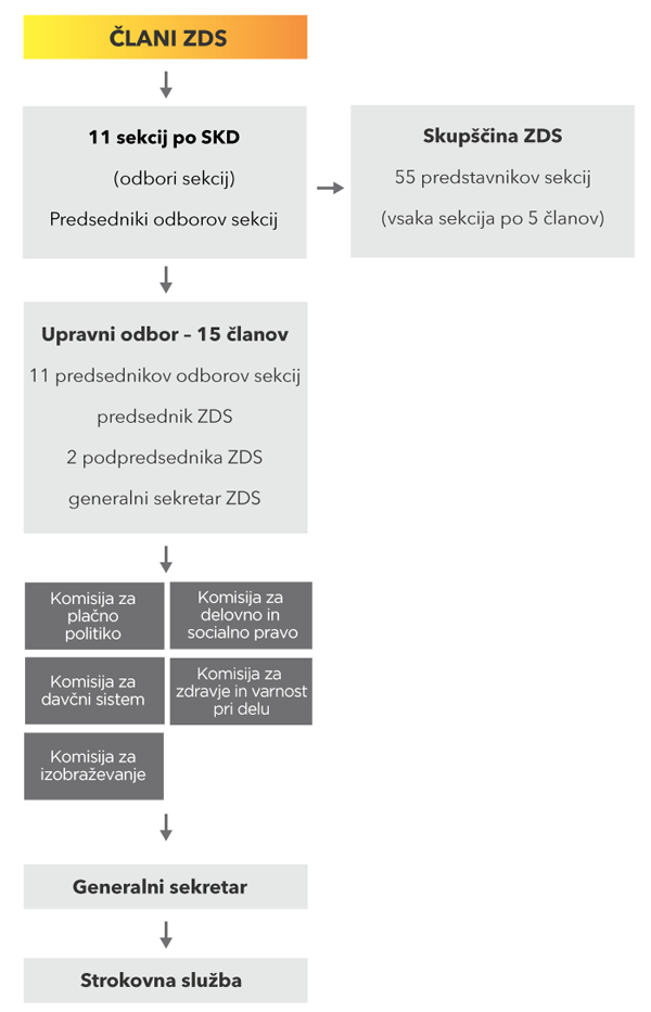 zds organigram final si mobile 600px